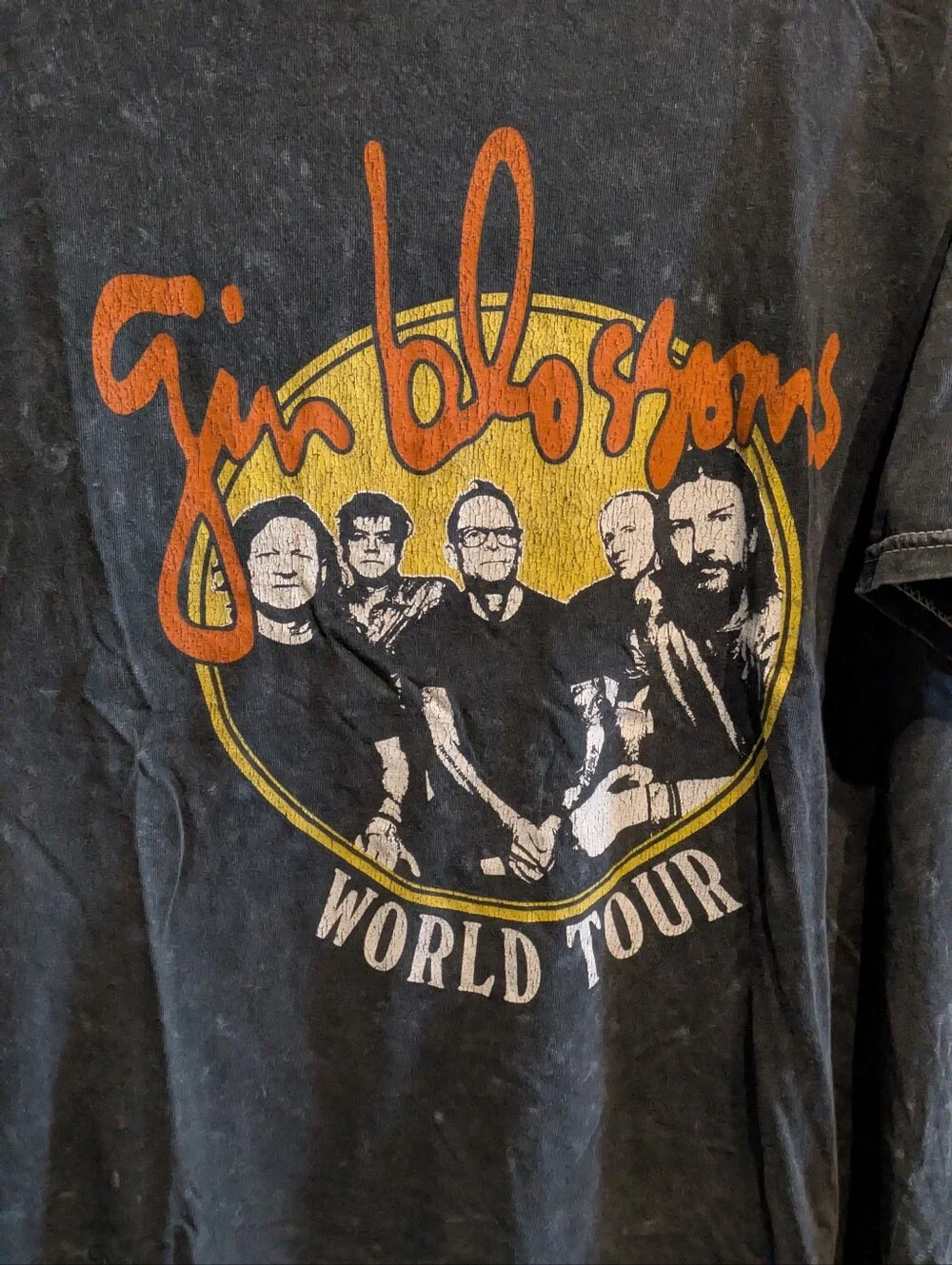 3 Gin Blossoms World Tour Graphic Band Tee Charcoal XL